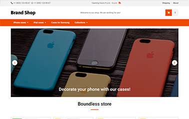 Website 10