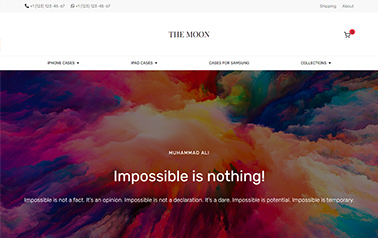 Website 4