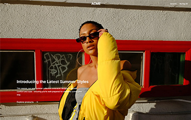 Website 5
